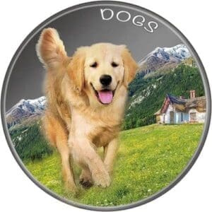 2022 Fiji 1z silver Dog coin